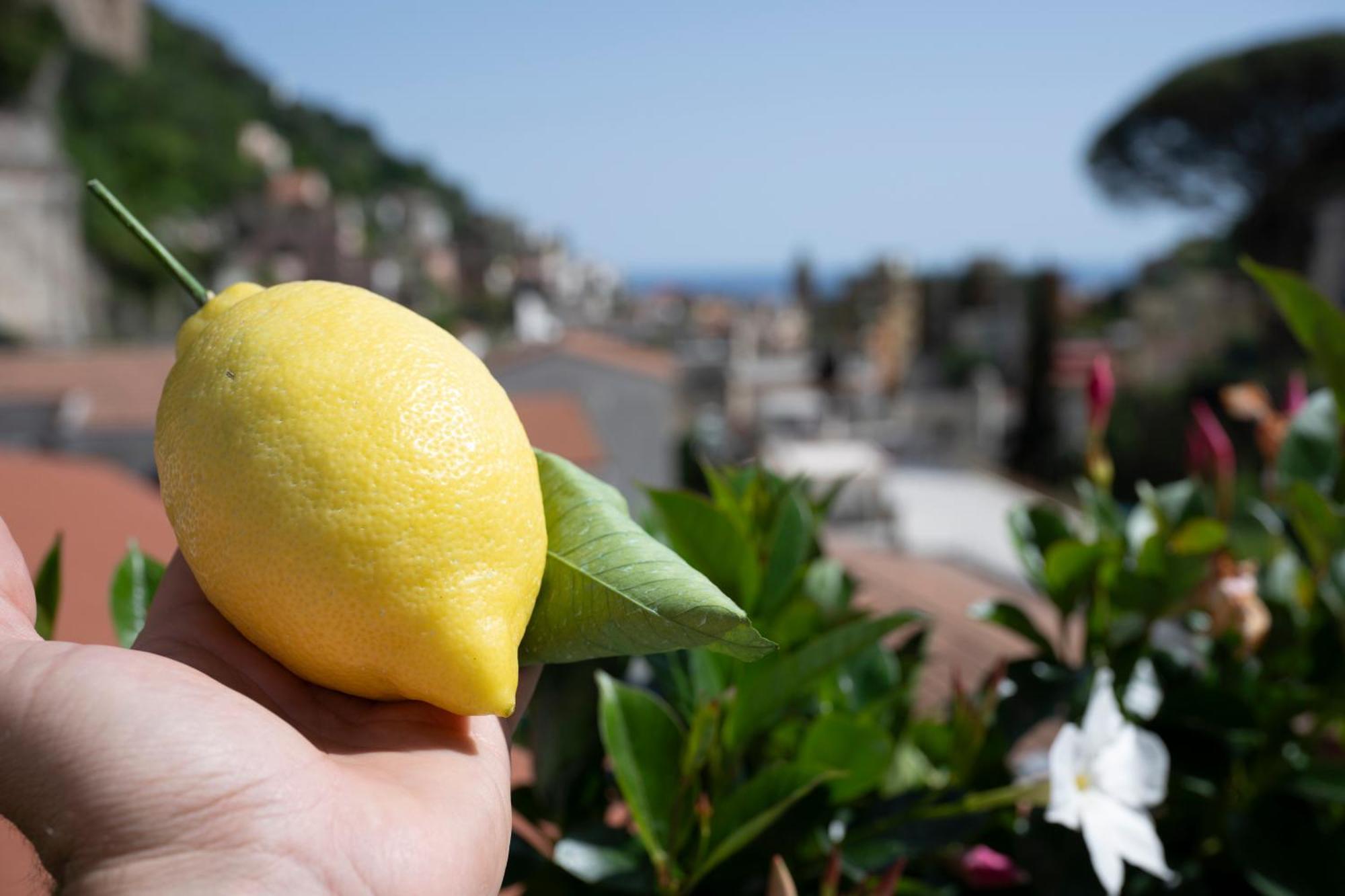 Valle D'Amalfi Suites エクステリア 写真