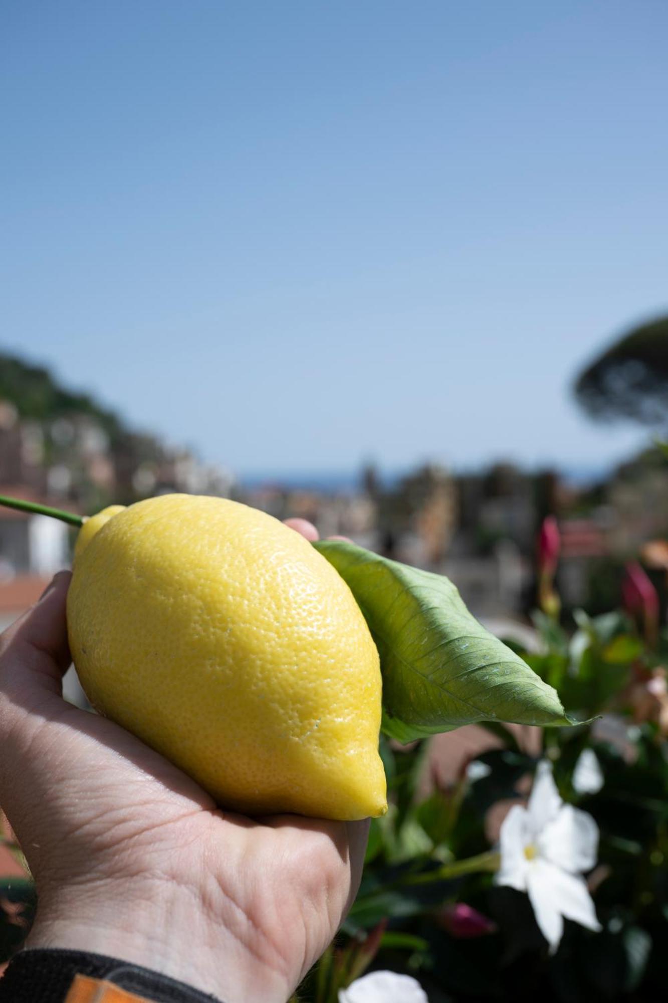 Valle D'Amalfi Suites エクステリア 写真